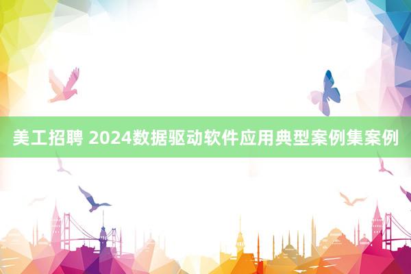 美工招聘 2024数据驱动软件应用典型案例集案例