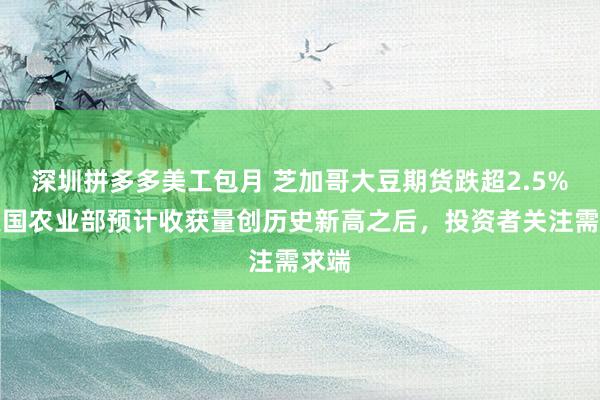 深圳拼多多美工包月 芝加哥大豆期货跌超2.5%，美国农业部预计收获量创历史新高之后，投资者关注需求端