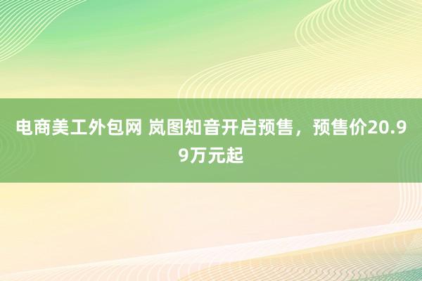 电商美工外包网 岚图知音开启预售，预售价20.99万元起