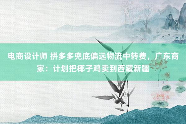 电商设计师 拼多多兜底偏远物流中转费，广东商家：计划把椰子鸡卖到西藏新疆